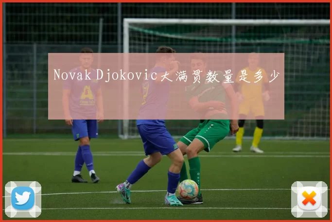 Novak Djokovic大满贯数量是多少