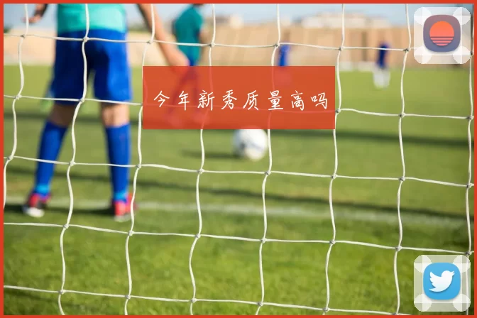 今年新秀质量高吗